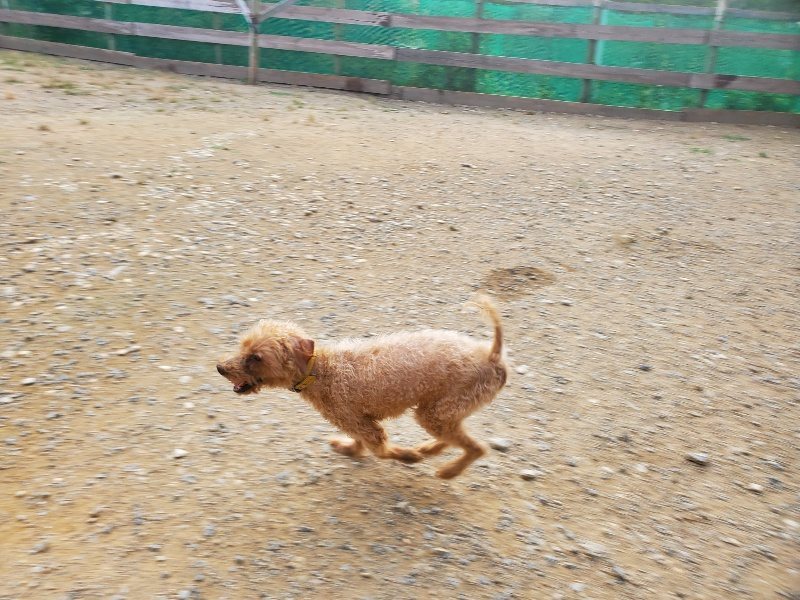 f:id:roukenhome-ann:20191001085905j:plain