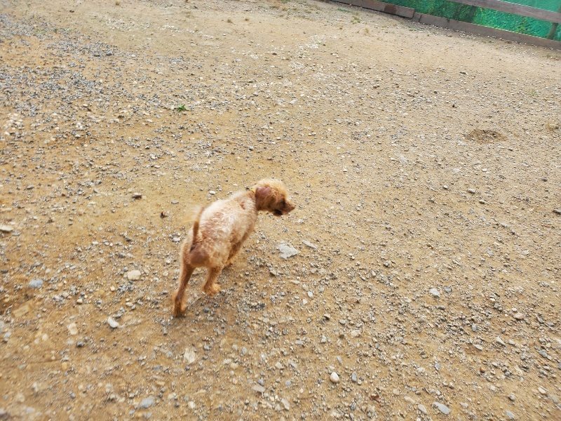 f:id:roukenhome-ann:20191001085911j:plain