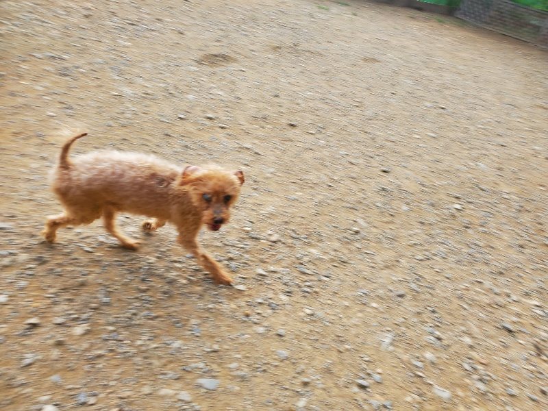 f:id:roukenhome-ann:20191001085924j:plain