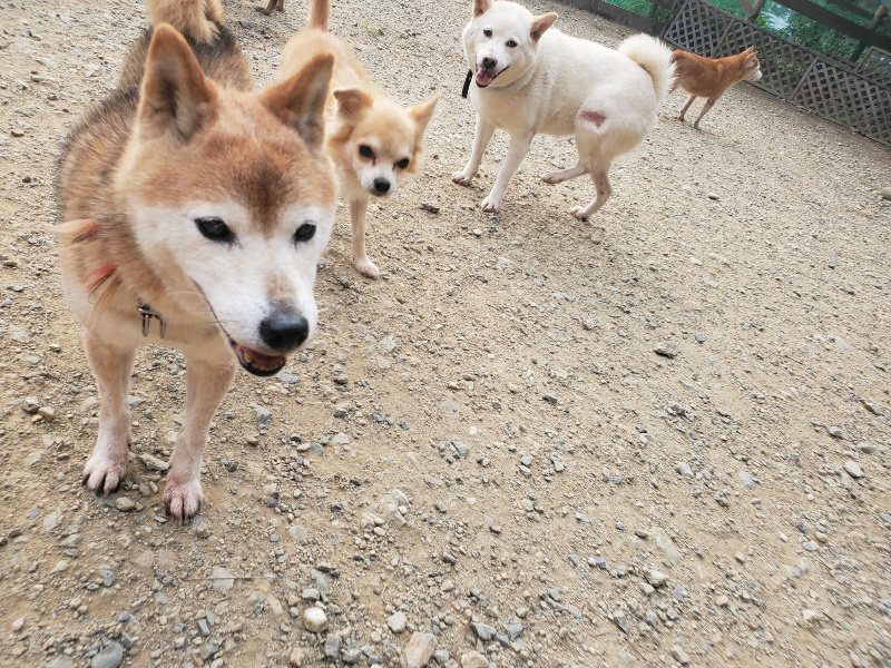 f:id:roukenhome-ann:20191001085951j:plain