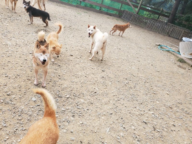 f:id:roukenhome-ann:20191001085957j:plain