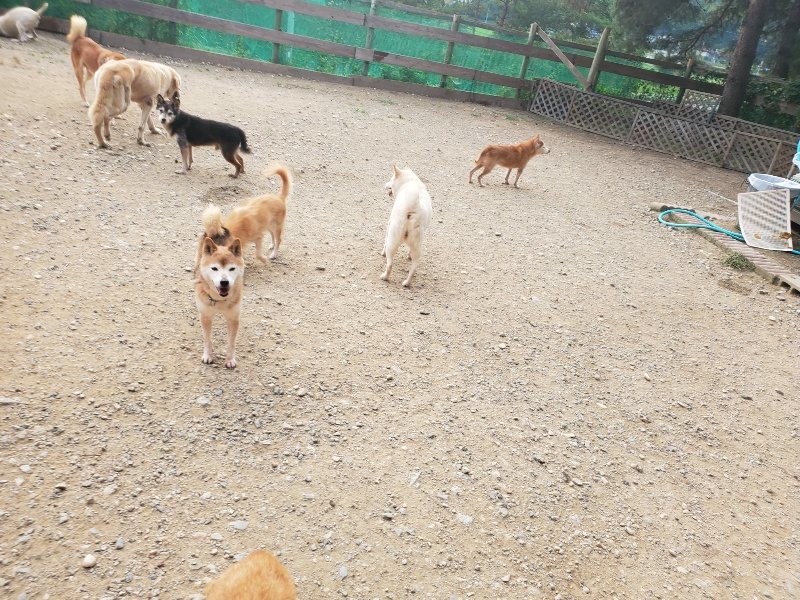 f:id:roukenhome-ann:20191001090003j:plain