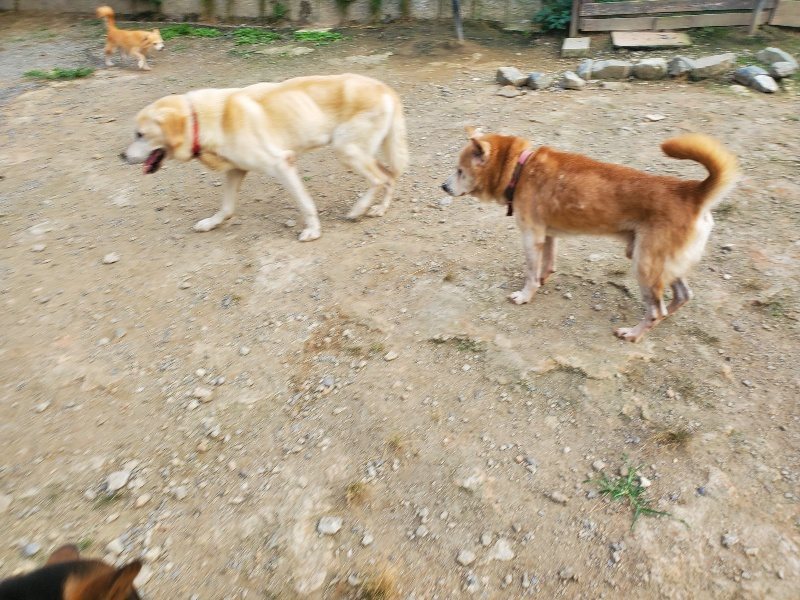 f:id:roukenhome-ann:20191001090236j:plain
