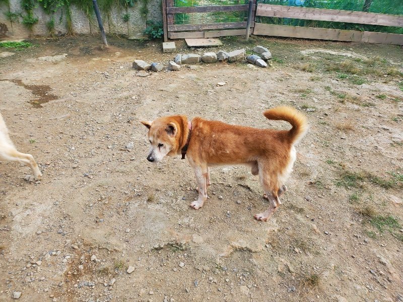 f:id:roukenhome-ann:20191001090241j:plain