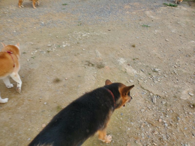 f:id:roukenhome-ann:20191001090247j:plain