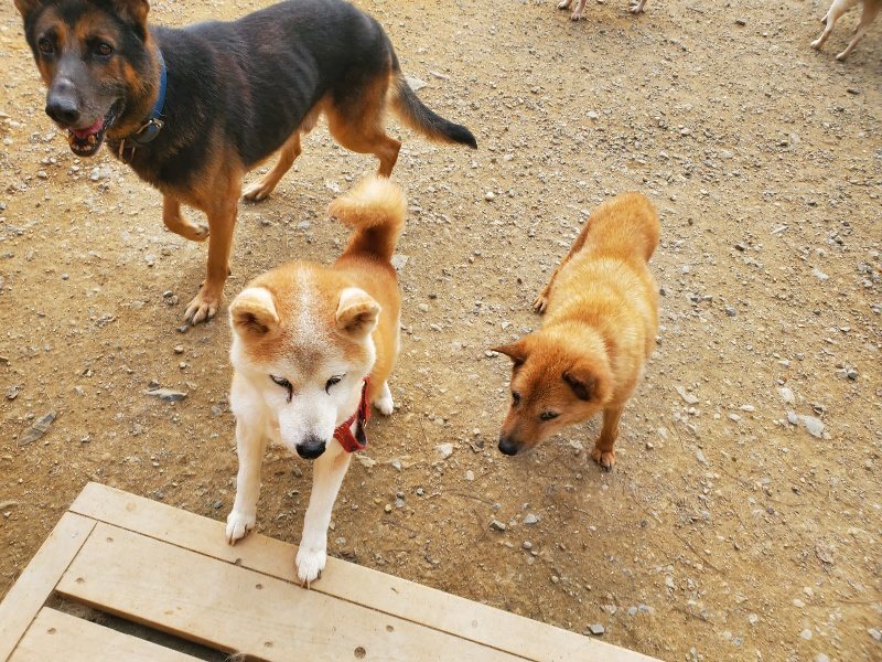 f:id:roukenhome-ann:20191001090257j:plain