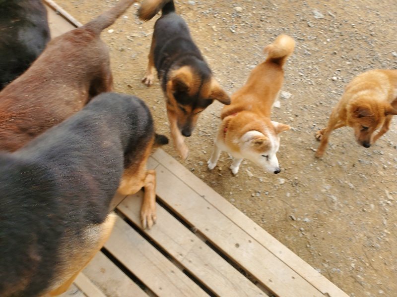 f:id:roukenhome-ann:20191001090332j:plain