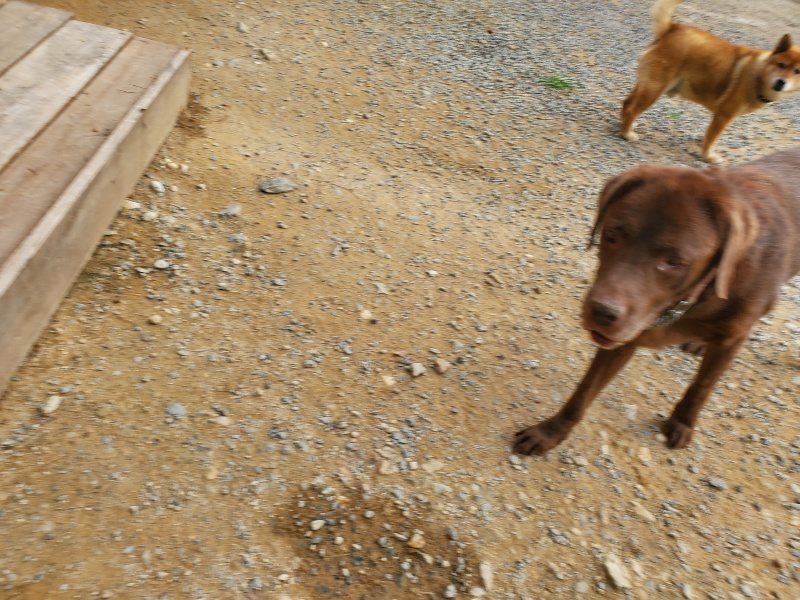 f:id:roukenhome-ann:20191001090406j:plain