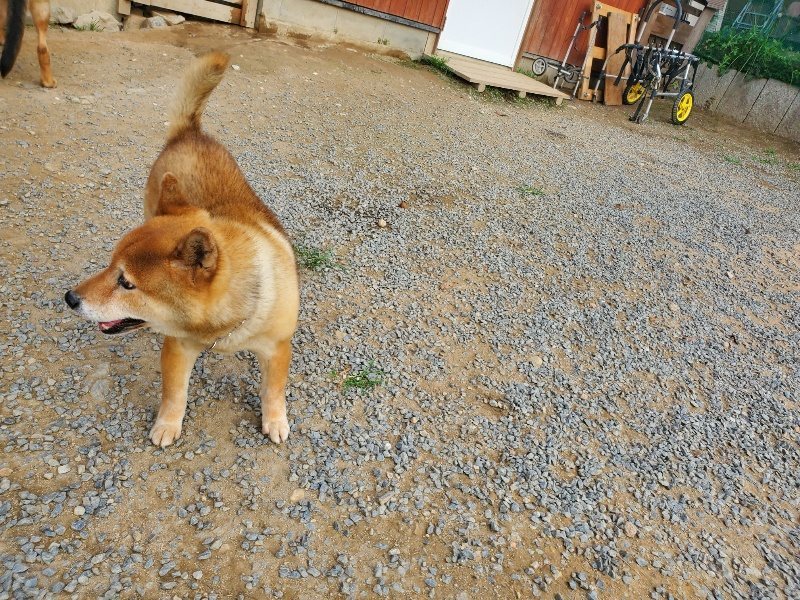 f:id:roukenhome-ann:20191001090447j:plain