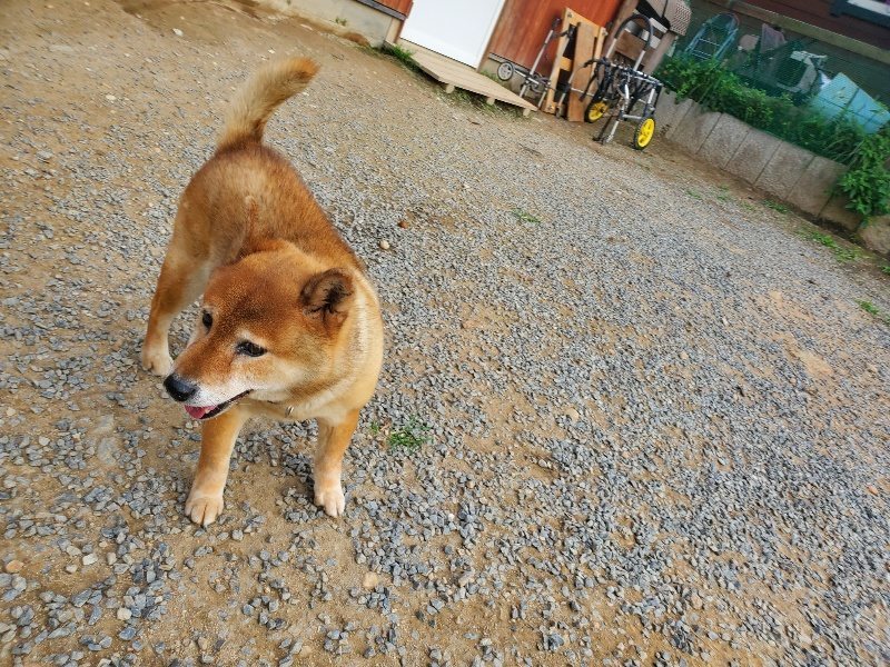 f:id:roukenhome-ann:20191001090453j:plain