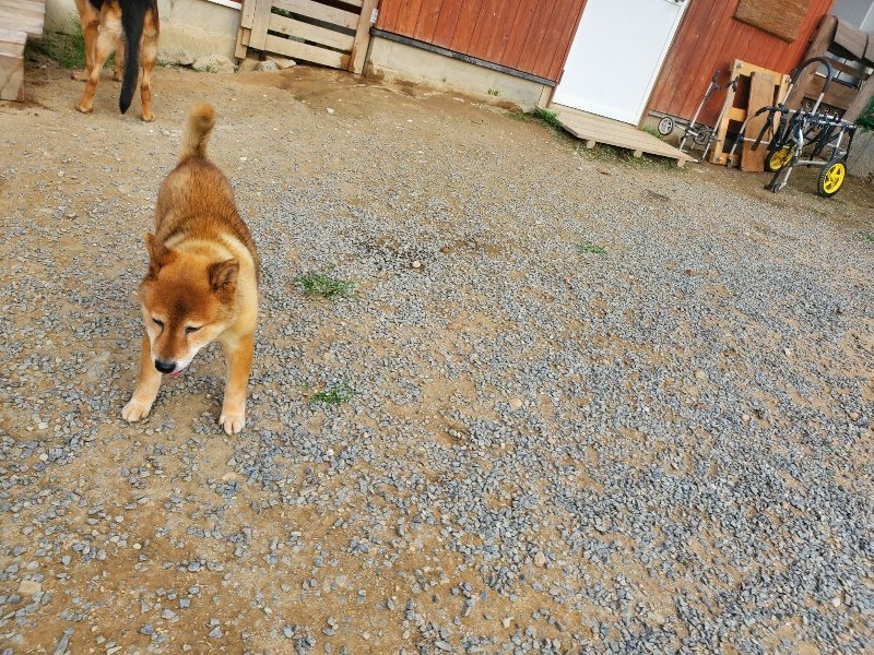f:id:roukenhome-ann:20191001090503j:plain
