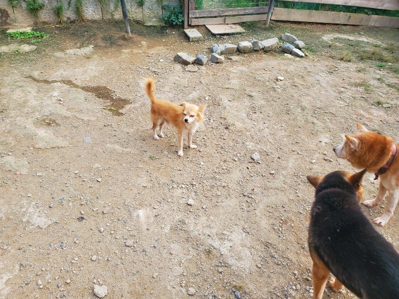 f:id:roukenhome-ann:20191001090538j:plain