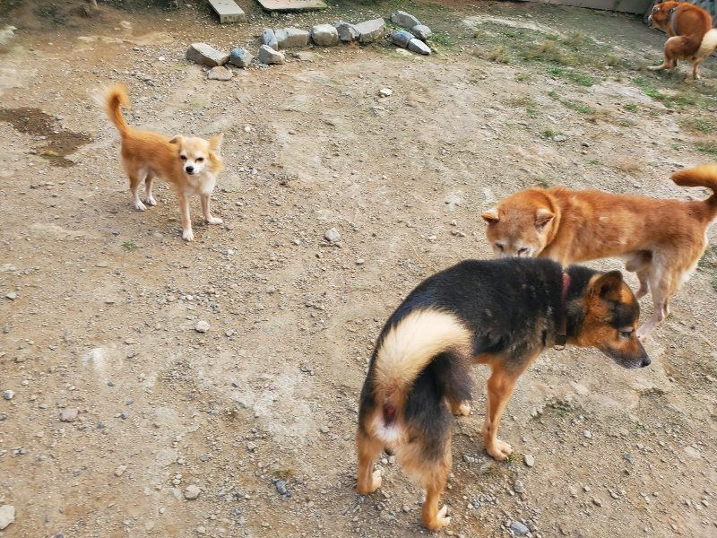 f:id:roukenhome-ann:20191001090542j:plain