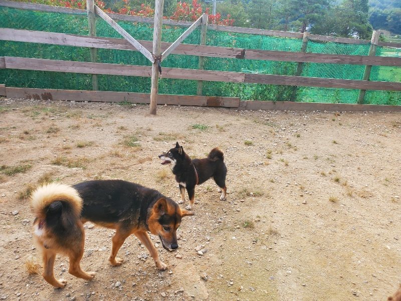 f:id:roukenhome-ann:20191001090600j:plain