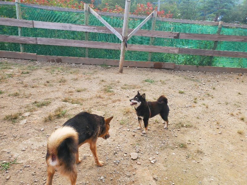 f:id:roukenhome-ann:20191001090614j:plain