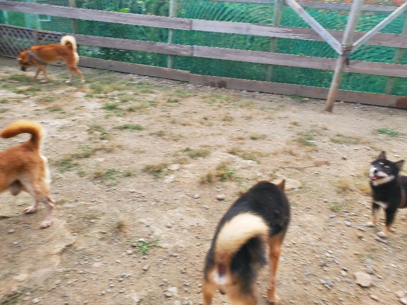 f:id:roukenhome-ann:20191001090624j:plain
