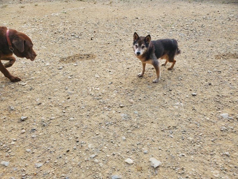 f:id:roukenhome-ann:20191001092610j:plain