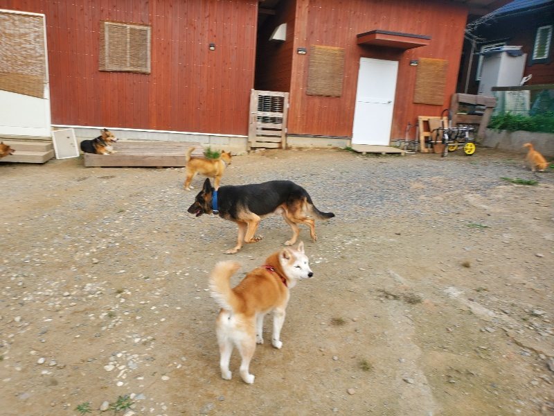 f:id:roukenhome-ann:20191001092626j:plain