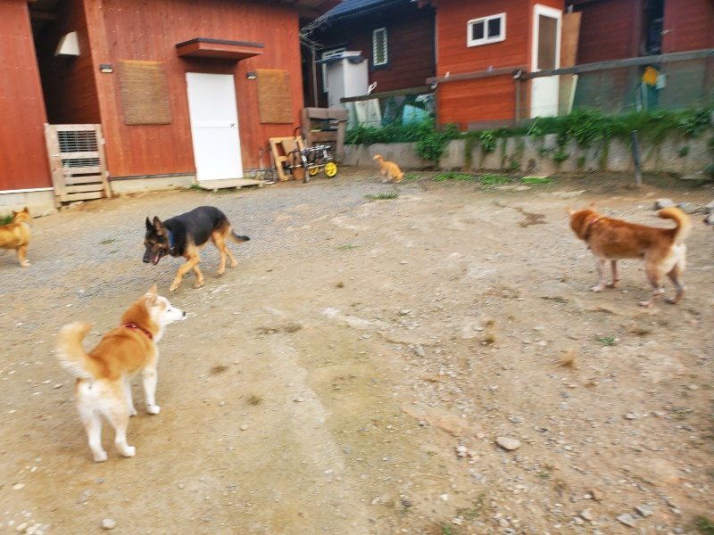 f:id:roukenhome-ann:20191001092636j:plain