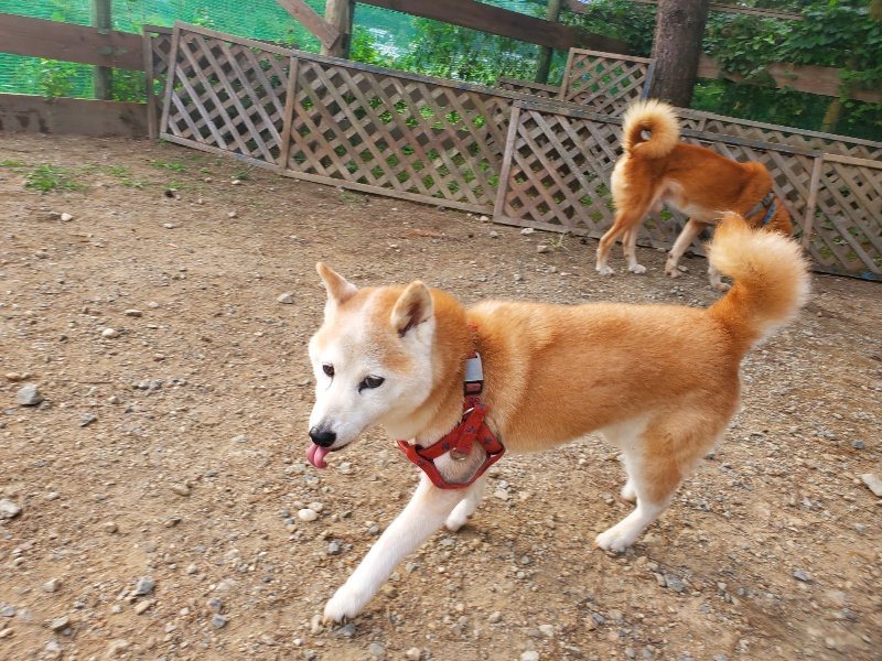 f:id:roukenhome-ann:20191001092808j:plain