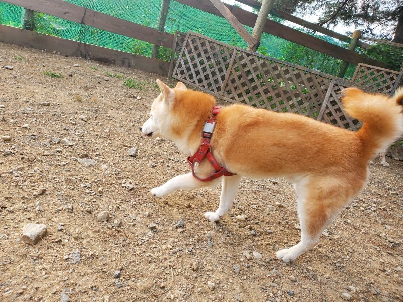 f:id:roukenhome-ann:20191001092813j:plain