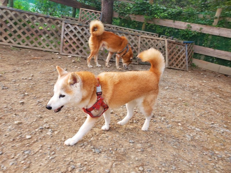 f:id:roukenhome-ann:20191001092818j:plain