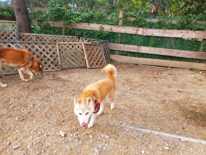 f:id:roukenhome-ann:20191001092823j:plain