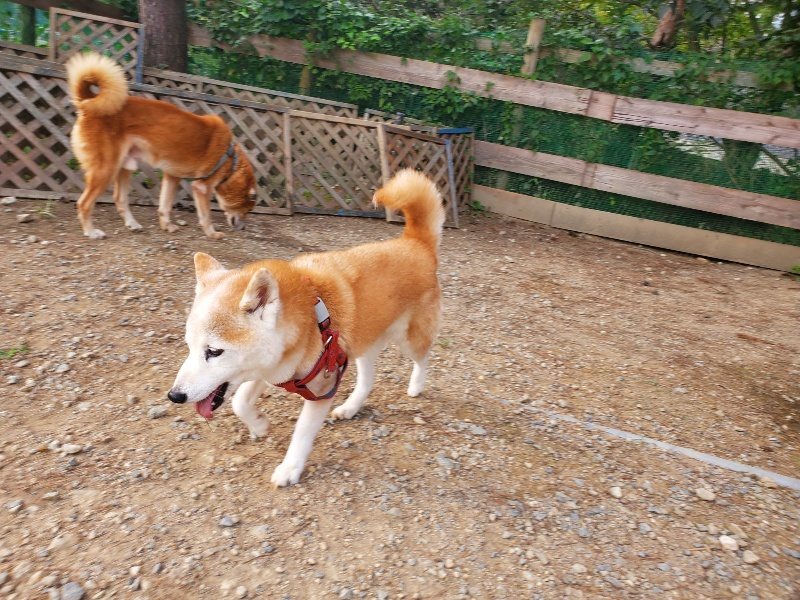 f:id:roukenhome-ann:20191001092829j:plain