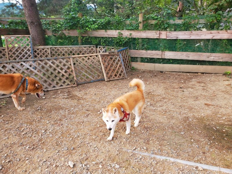 f:id:roukenhome-ann:20191001092835j:plain