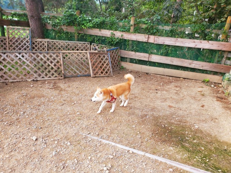 f:id:roukenhome-ann:20191001092845j:plain