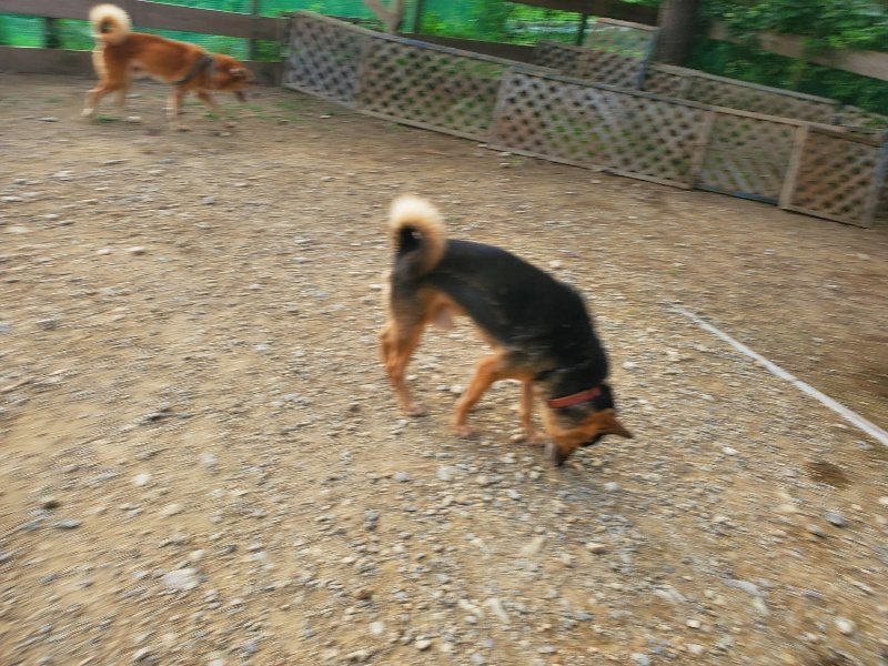 f:id:roukenhome-ann:20191001092850j:plain
