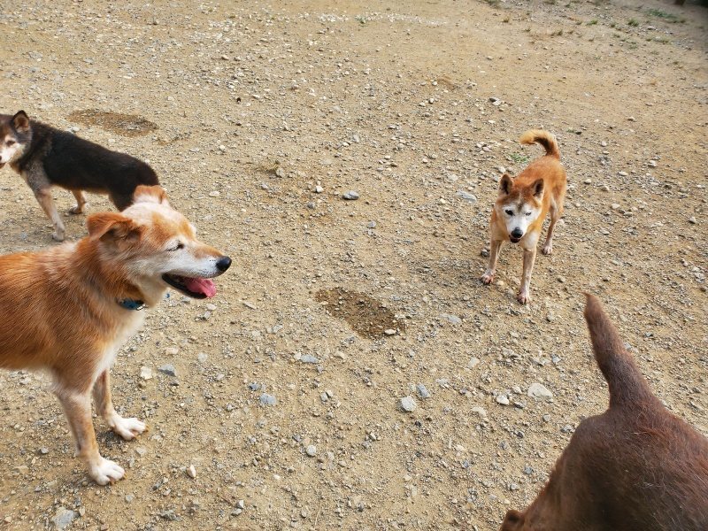 f:id:roukenhome-ann:20191001092902j:plain