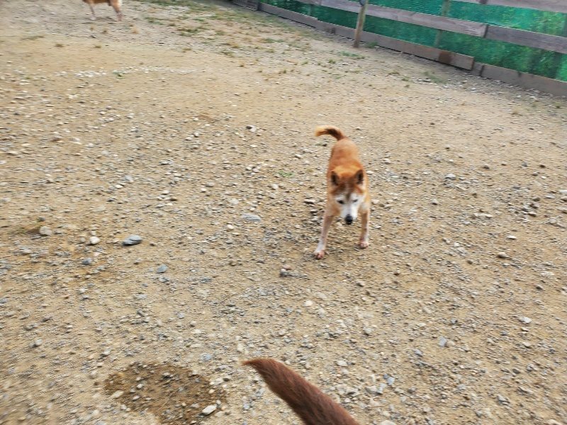 f:id:roukenhome-ann:20191001092919j:plain