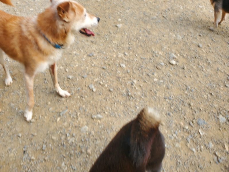 f:id:roukenhome-ann:20191001092923j:plain