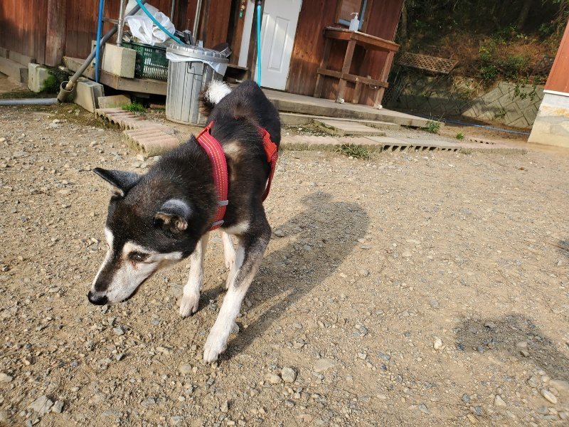f:id:roukenhome-ann:20191001093115j:plain
