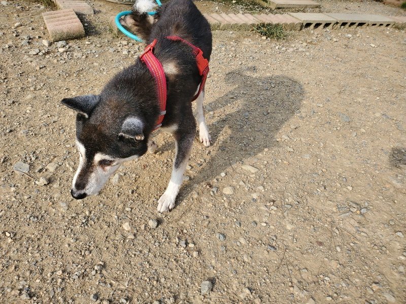 f:id:roukenhome-ann:20191001093127j:plain