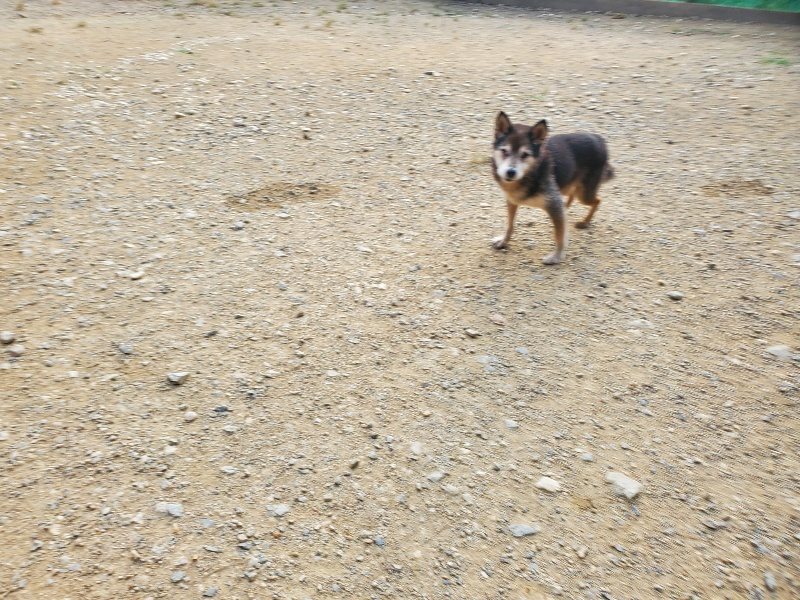 f:id:roukenhome-ann:20191001093146j:plain