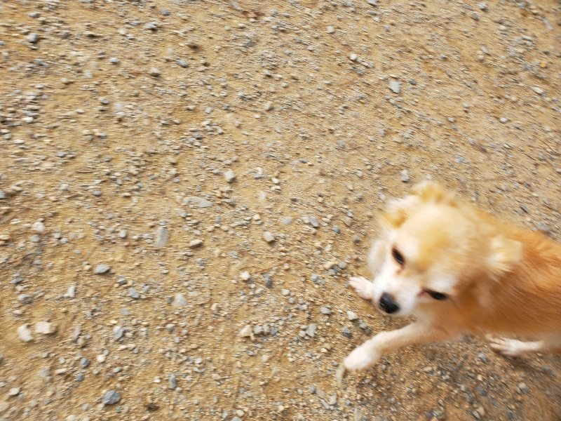 f:id:roukenhome-ann:20191001093153j:plain