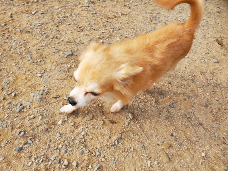 f:id:roukenhome-ann:20191001093200j:plain