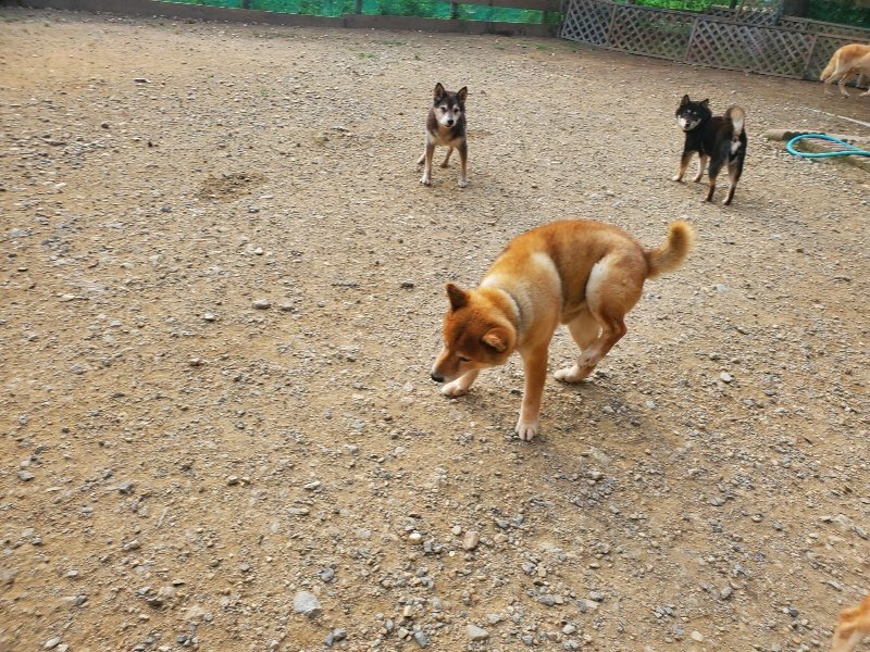 f:id:roukenhome-ann:20191001093243j:plain