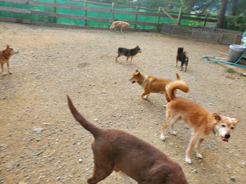 f:id:roukenhome-ann:20191001093333j:plain