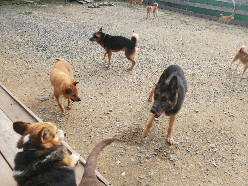 f:id:roukenhome-ann:20191001093351j:plain