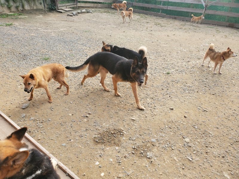 f:id:roukenhome-ann:20191001093358j:plain