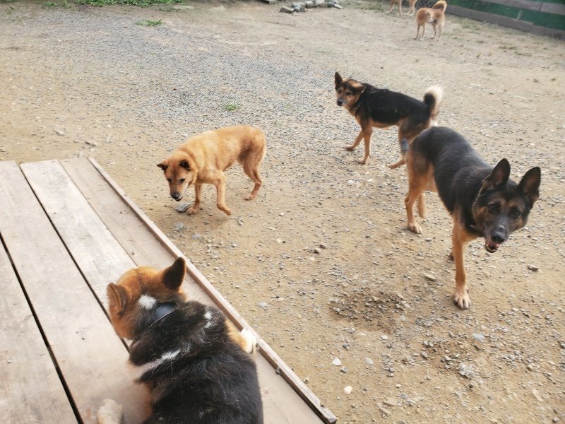 f:id:roukenhome-ann:20191001093411j:plain