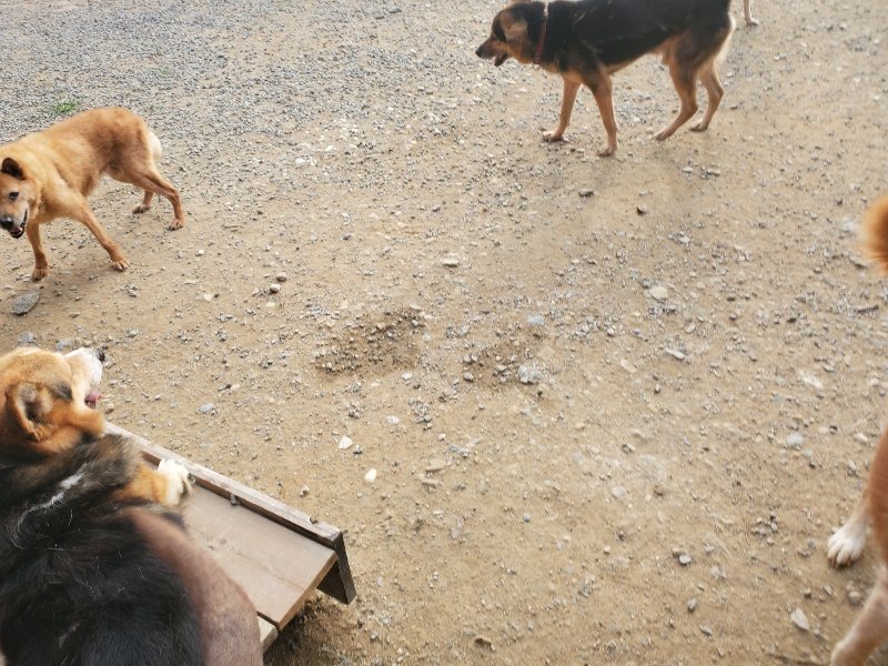 f:id:roukenhome-ann:20191001093424j:plain