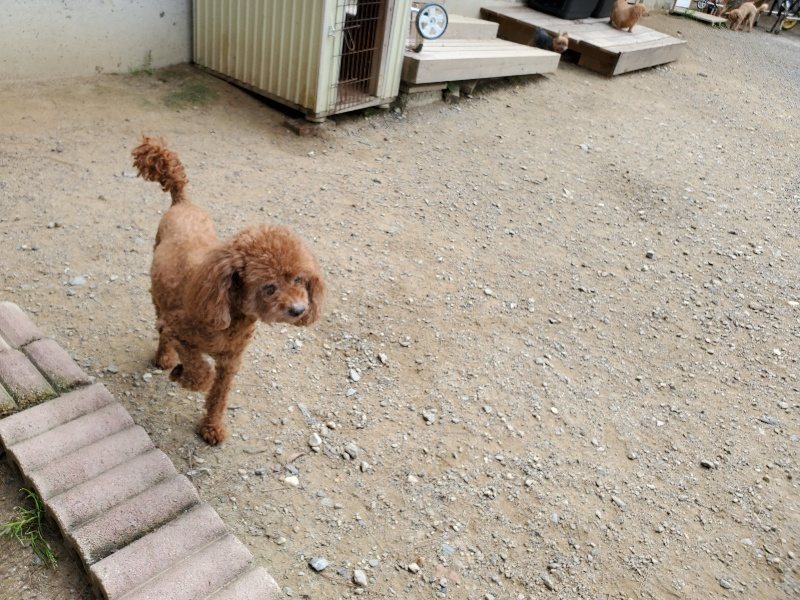 f:id:roukenhome-ann:20191001093524j:plain