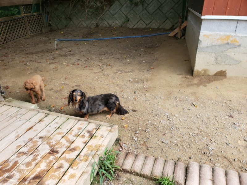 f:id:roukenhome-ann:20191001093529j:plain