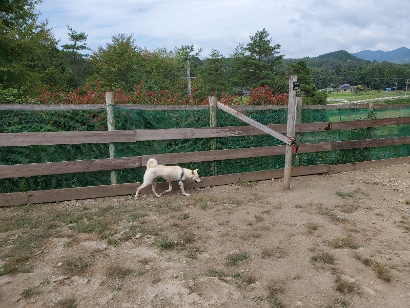 f:id:roukenhome-ann:20191001093538j:plain