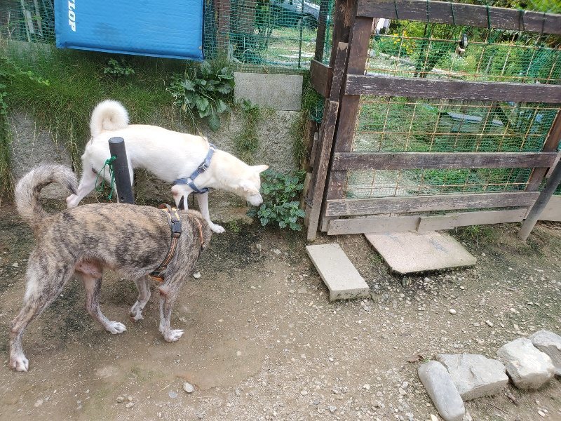 f:id:roukenhome-ann:20191001093545j:plain