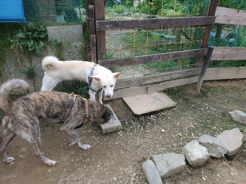f:id:roukenhome-ann:20191001093553j:plain